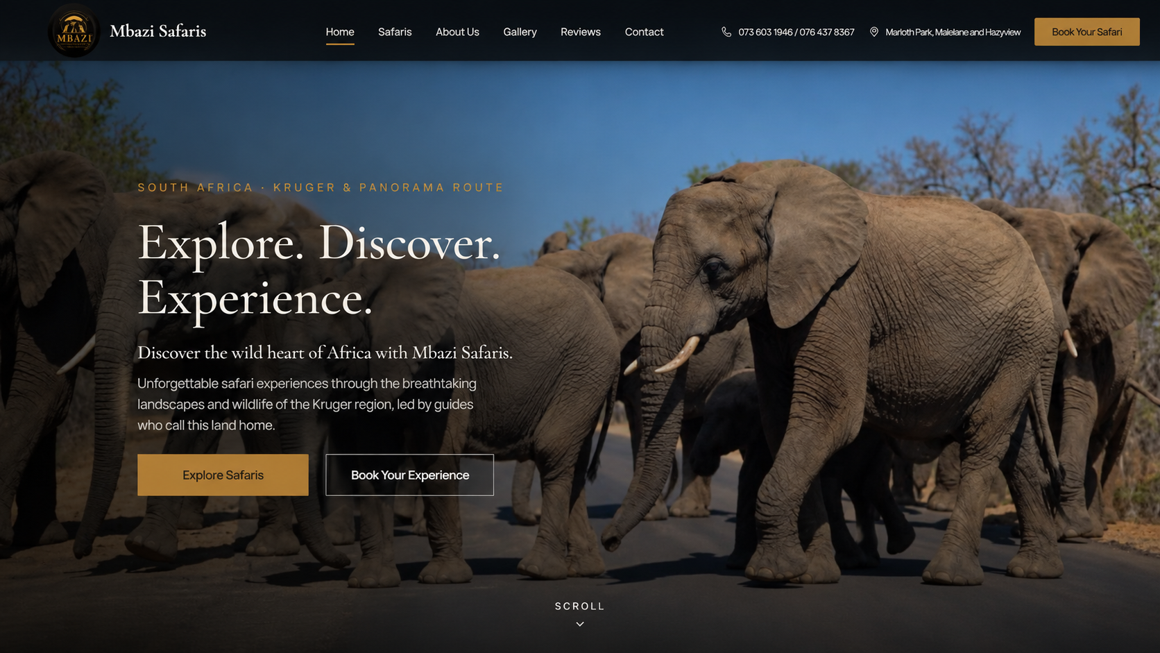 Mbazi Safaris Kruger and Panorama Route website hero with elephants
